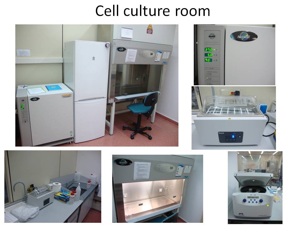 Essential Laboratory Equipment for Cell Culture Research