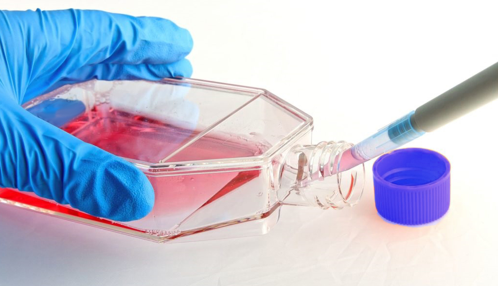 کشت سلولی و اجزای محیط کشت شرکت دانش بنیان بافت و ژن پاسارگاد