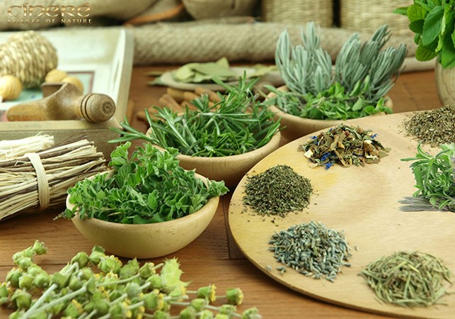 خواص و ويژگي هاي عصاره های گیاهان داروئي