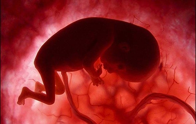 خدمات پژوهشي جنين شناسي بروي تخمك اسپرم با روش هاي نوين مانند IVF