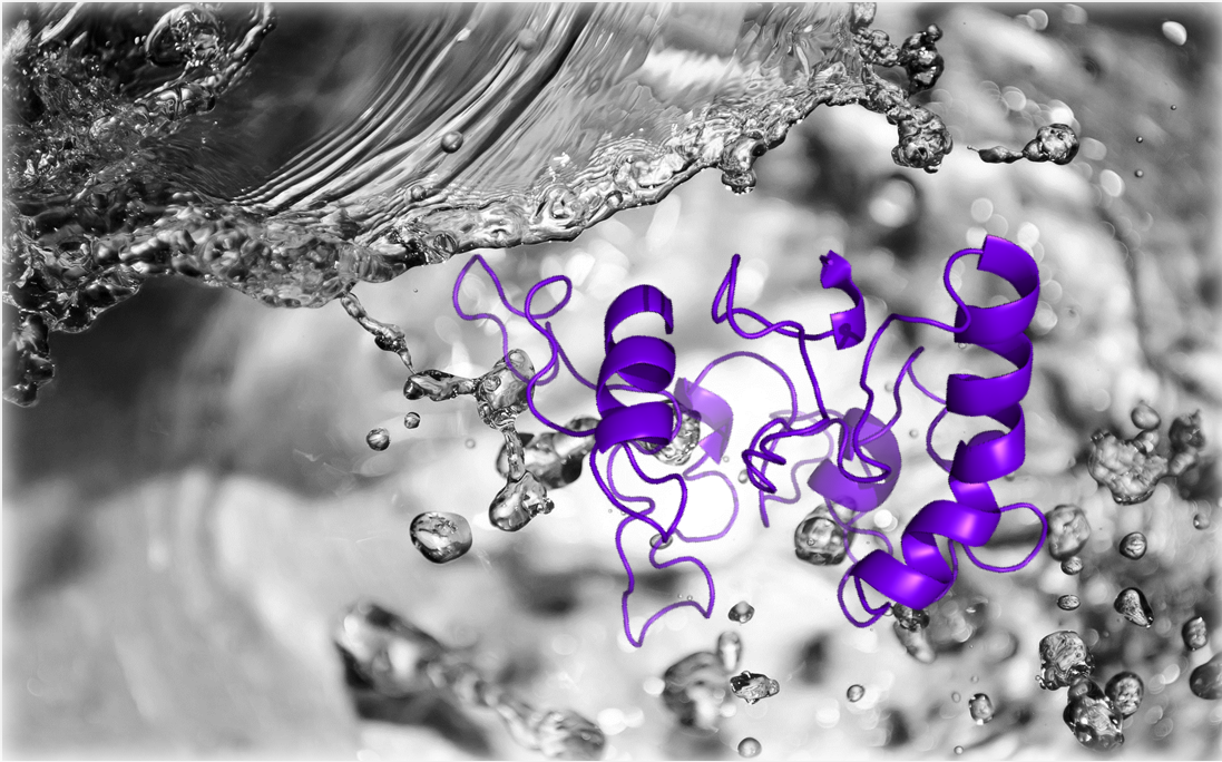 اجزا تشکیل دهنده وکتورها یا پلاسمیدها ي بیانی Multiple Cloning Site & Blue-White Screening