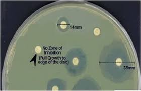 antibiotic disk