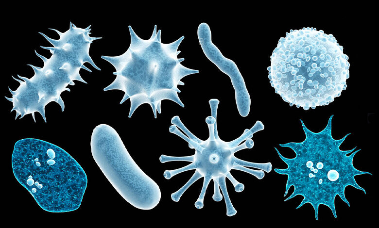 جداسازی و کشت میکروارگانیسم ها