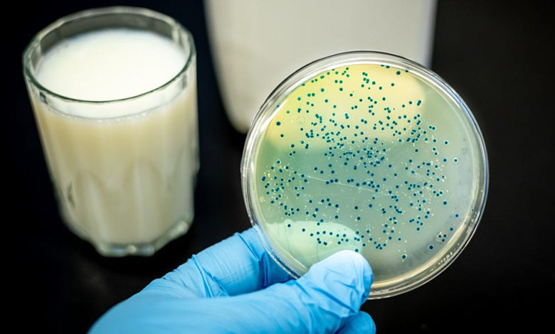 آلودگی میکروبی در نمونه های مختلف