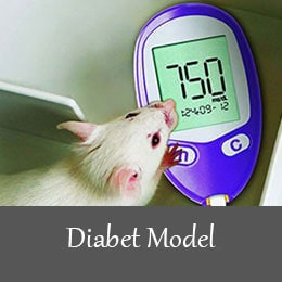 القای مدل های حیوانی بیماری های متابولیکی - دیابت