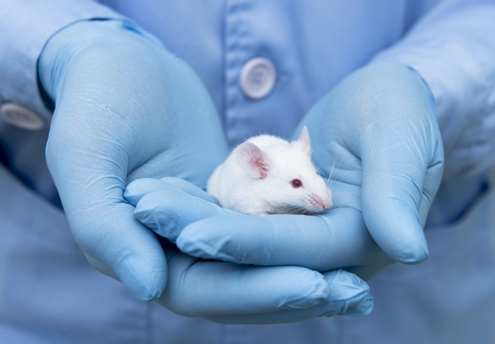 اصول اخلاقی کار با حیوانات آزمایشگاهی نظیر موش - هیستوژنوتک