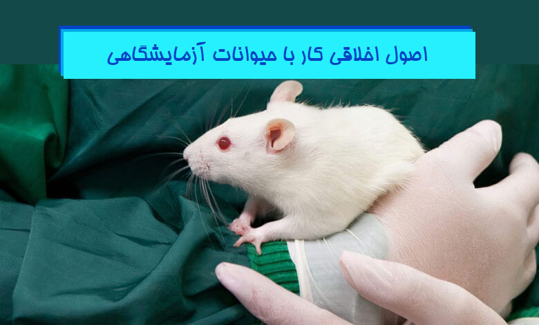اصول اخلاقی کار با موش آزمایشگاهی - جهت طرح های پژوهشی