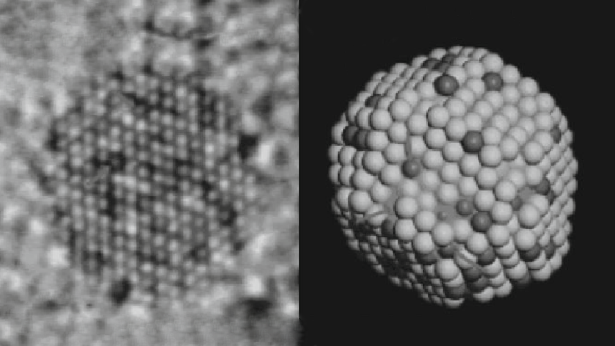 آنالیز نانوذرات توسط میکروسکوپ الکترونی