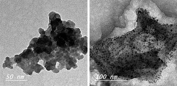 میکروگرافی الکترونی TEM از نانوپوشش کیتوزان