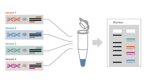تکنیک Multiplex PCR