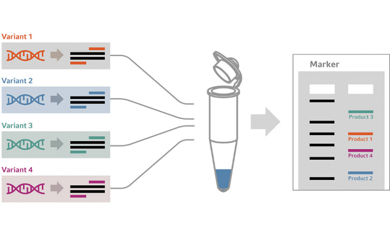 تکنیک Multiplex PCR