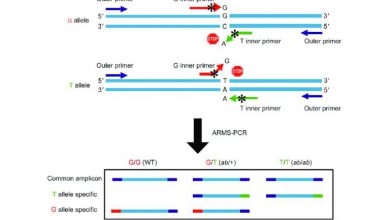 ARMS-PCR1-768x463