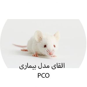 القای-بیماری-PCO