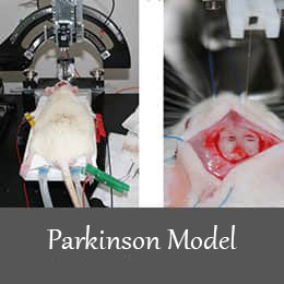 القا و ایجاد مدل های بیماری - پارکینسون