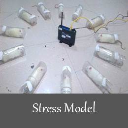 ایجاد مدل های بیماری اعصاب و روان - استرس