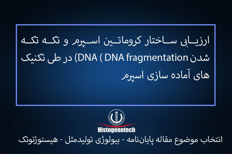 موضوع پایان نامه ارزیابی-ساختار-کروماتین-اسپرم-و-تکه-تکه-شدن-DNA-(-DNA-fragmentation)-در-طی-تکنیک-های-آماده-سازی-اسپرم