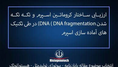 موضوع پایان نامه ارزیابی-ساختار-کروماتین-اسپرم-و-تکه-تکه-شدن-DNA-(-DNA-fragmentation)-در-طی-تکنیک-های-آماده-سازی-اسپرم
