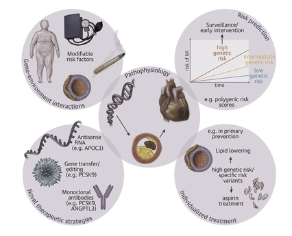 پلی مورفیسم های ژنتیکی در بیماری های قلبی عروقی