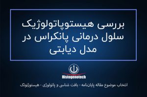 بررسی-هیستوپاتولوژیک-سلول-درمانی-پانکراس-در-مدل-دیابتی