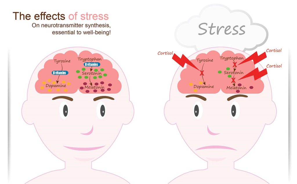 نقش استرس در تولید نوروترانسمیتر ها در سیستم عصبی مرکزی 