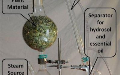 اسانس-های-گیاهی--4