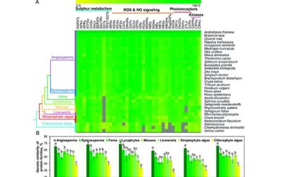 انجام خدمات بیوانفورماتیک - شرکت دانش بنیان بافت و ژن پاسارگاد