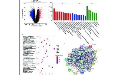 انجام خدمات بیوانفورماتیک - شرکت دانش بنیان بافت و ژن پاسارگاد