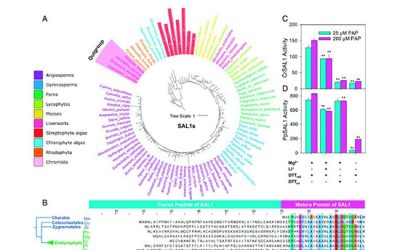 تحلیل بیوانفورماتیک و پپتید های انتقالی - شرکت دانش بنیان بافت و ژن پاسارگاد