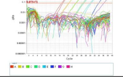 بررسی-noncoding-RNA