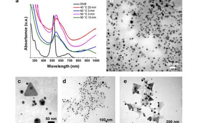 بیوسنتز نانو پارتیکل توسط قارچ و مخمر - شرکت دانش بنیان بافت و ژن پاسارگاد