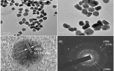 بیوسنتز نانو پارتیکل توسط قارچ - شرکت دانش بنیان بافت و ژن پاسارگاد