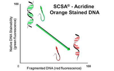 ساختار کروماتین اسپرم (SCSA) - شرکت دانش بنیان بافت و ژن پاسارگاد