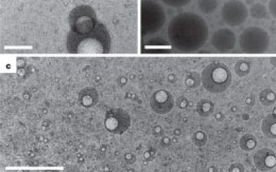 سنتز نانوامولسیون - شرکت دانش بنیان بافت و ژن پاسارگاد