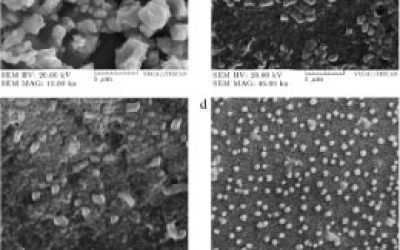 سنتز نانوذرات آلژینات - شرکت دانش بنیان بافت و ژن پاسارگاد