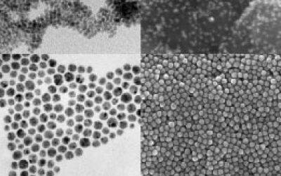 سنتز نانوذرات آهنی - شرکت دانش بنیان بافت و ژن پاسارگاد