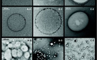 سنتز نانوذرات پلیمری - شرکت دانش بنیان بافت و ژن پاسارگاد