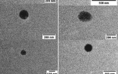 سنتز نانوذرات کیتوزان - شرکت دانش بنیان بافت و ژن پاسارگاد