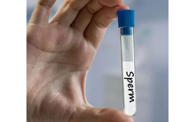 لوله تست اسپرم - شرکت دانش بنیان بافت و ژن پاسارگاد