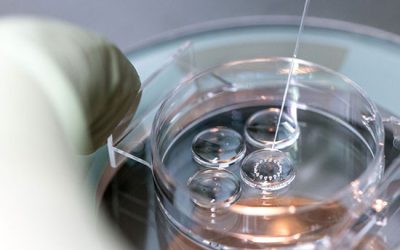 محلول کشت جنینی - شرکت دانش بنیان بافت و ژن پاسارگاد