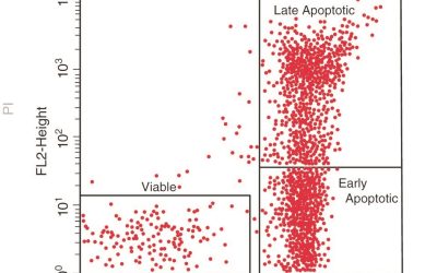 بررسی آپوپتوز با انکسین V - شرکت دانش بنیان بافت و ژن پاسارگاد