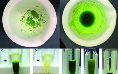 Digestion extraction - شرکت دانش بنیان بافت و ژن پاسارگاد