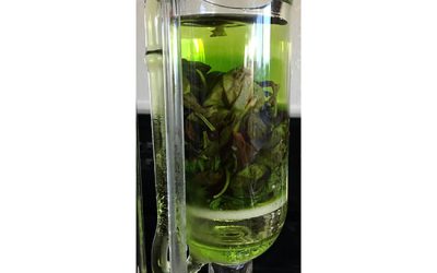 Soxhlet extraction - شرکت دانش بنیان بافت و ژن پاسارگاد