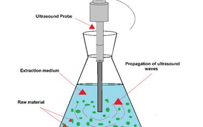 ultrasonic extraction - شرکت دانش بنیان بافت و ژن پاسارگاد