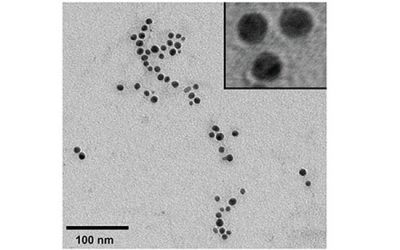 میکروب های مهندسی شده نانوذرات نقره - شرکت دانش بنیان بافت و ژن پاسارگاد